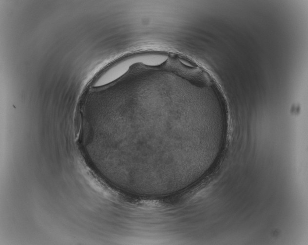 X0000110930391200907091526