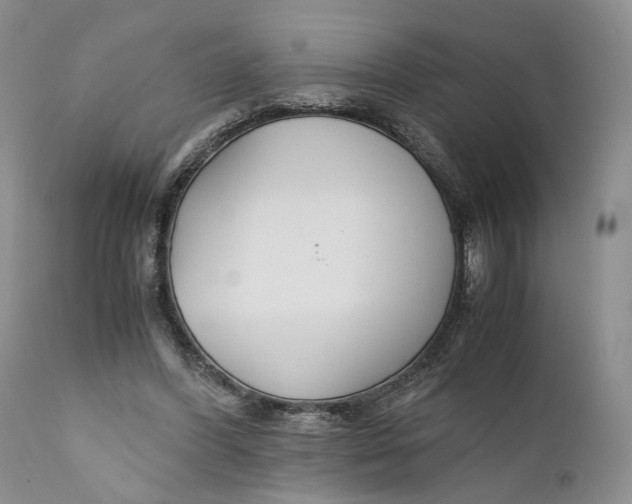 X0000110930396200907091526