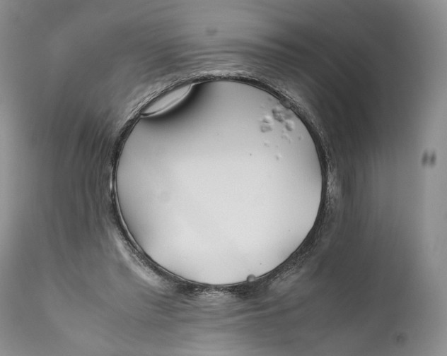 X0000110930397200907091526