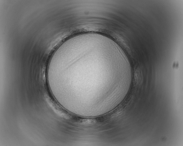 X0000110930398200907091526