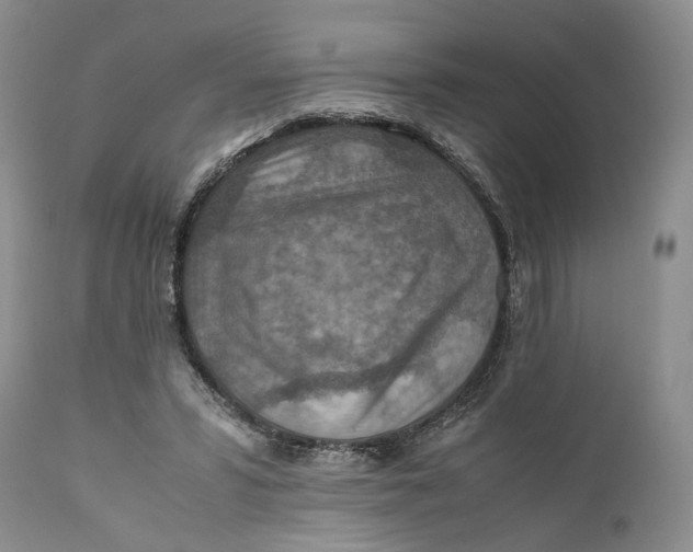 X0000110930399200907091526
