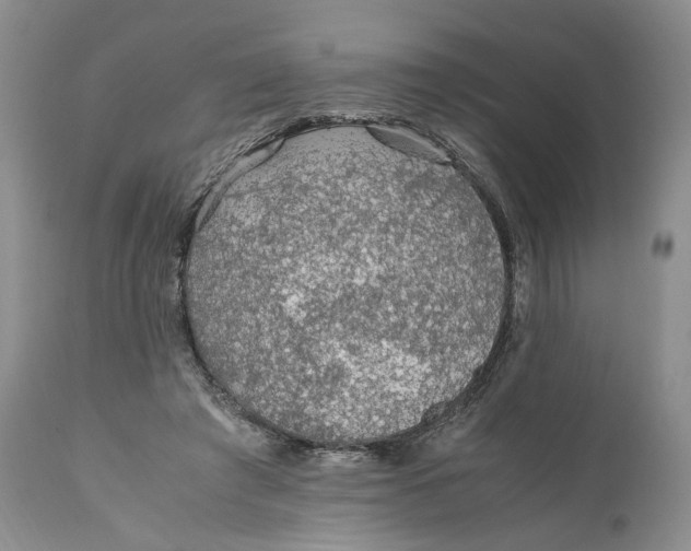 X0000110930401200907091526