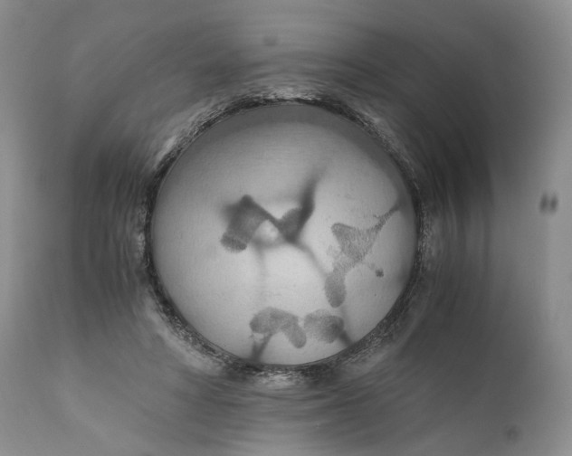 X0000110930402200907091526