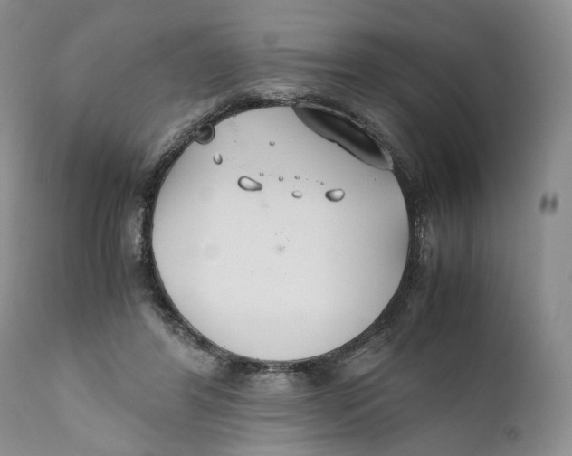 X0000110930404200907091526