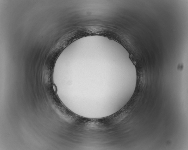 X0000110930408200907091526
