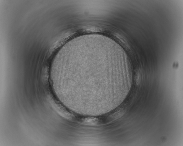X0000110930410200907091526