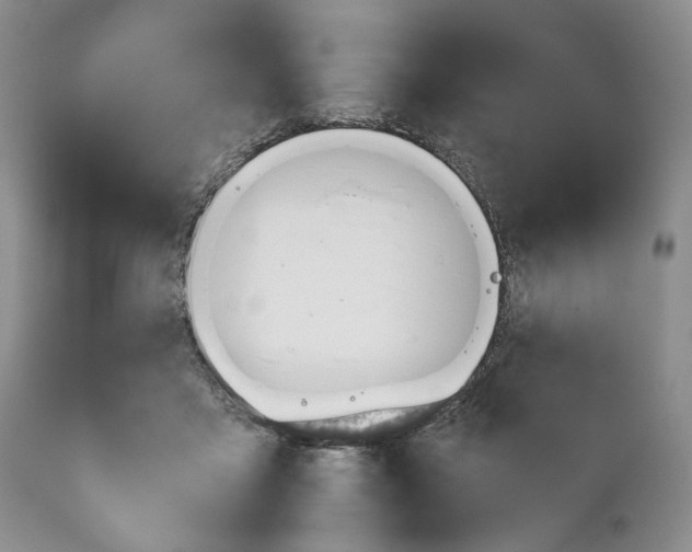 X0000110930411200907091525