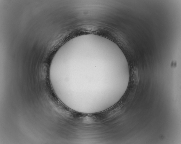 X0000110930412200907091525