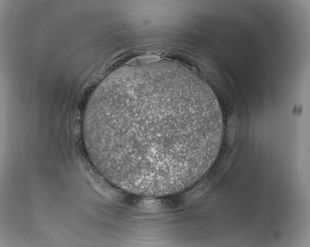 X0000110930413200907091525