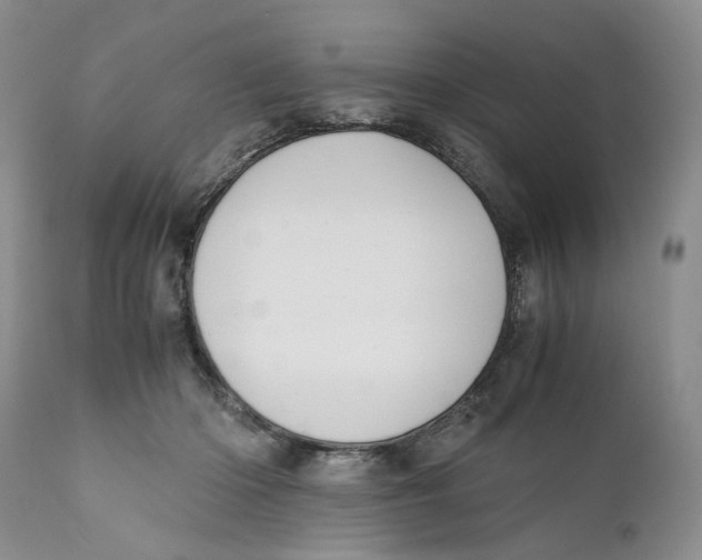 X0000110930414200907091525