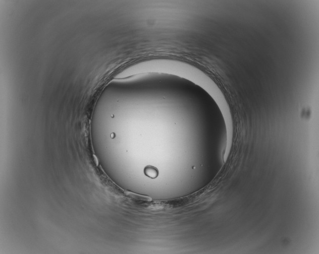 X0000110930415200907091525