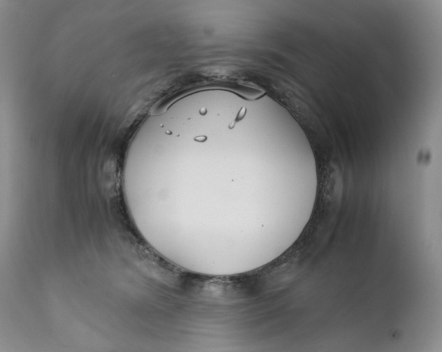X0000110930420200907091525