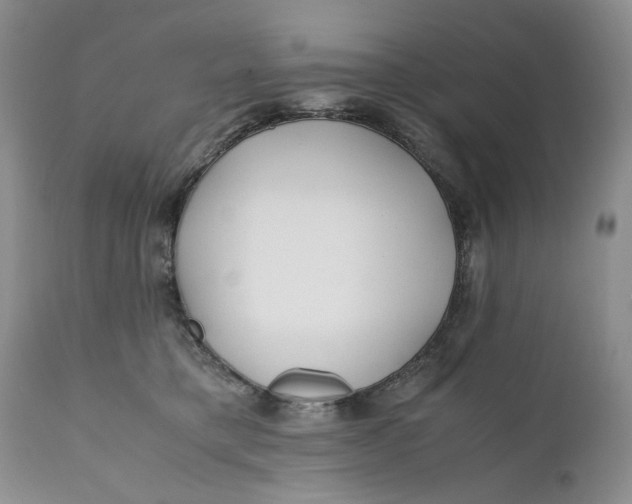 X0000110930421200907091525