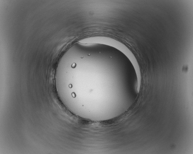 X0000110930423200907091525
