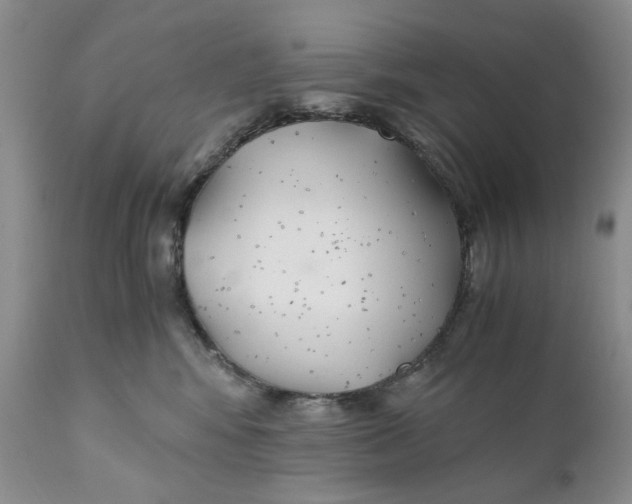 X0000110930424200907091525