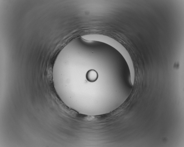 X0000110930425200907091525
