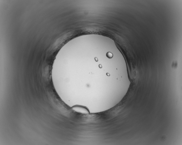 X0000110930428200907091525