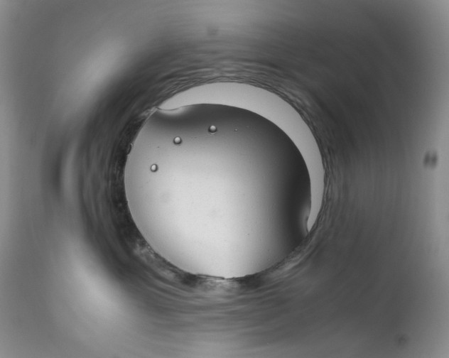 X0000110930429200907091525
