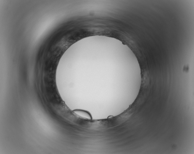 X0000110930430200907091525
