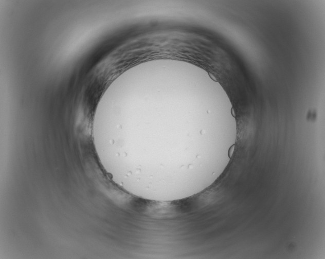 X0000110930431200907091525