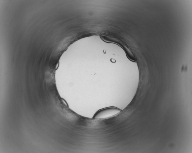X0000110930432200907091525