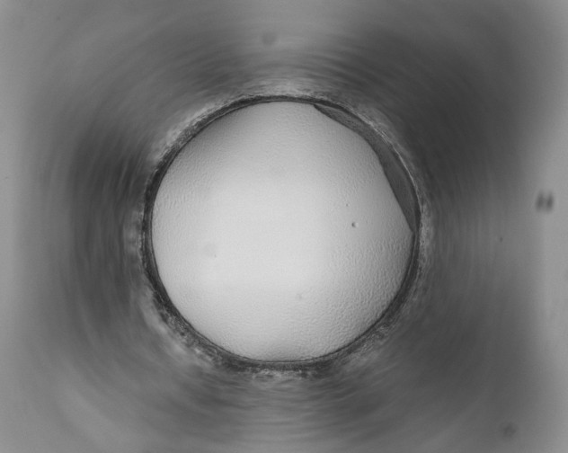 X0000110930434200907091524