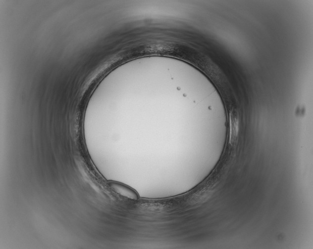 X0000110930435200907091524