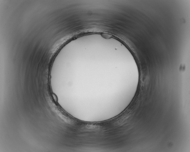 X0000110930437200907091524