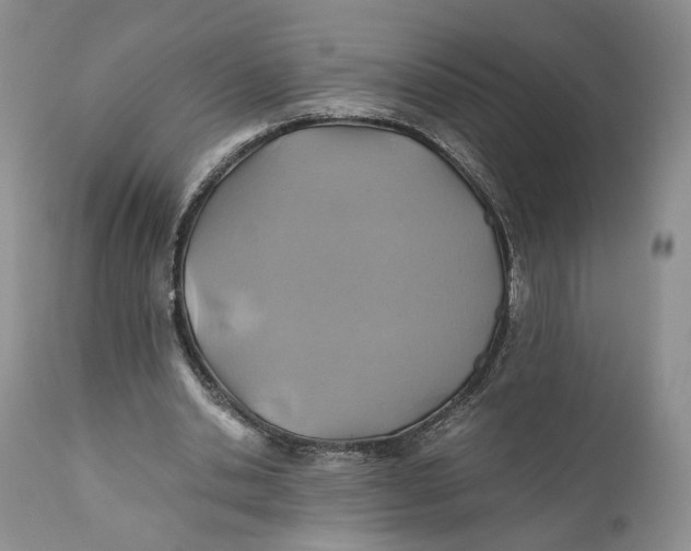 X0000110930438200907091524