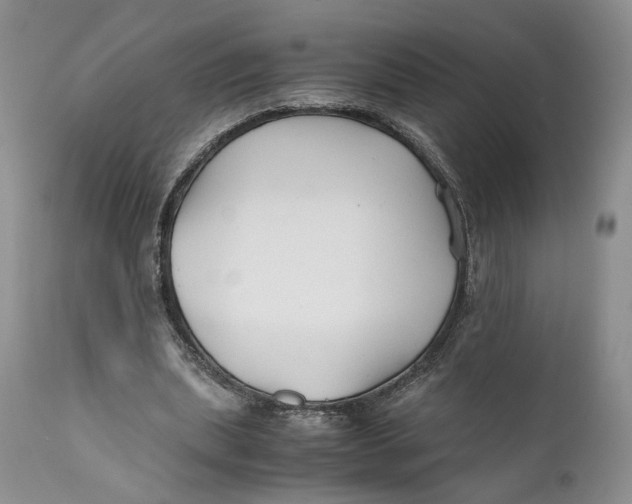 X0000110930439200907091524