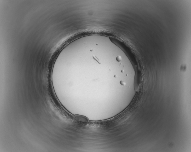 X0000110930440200907091524