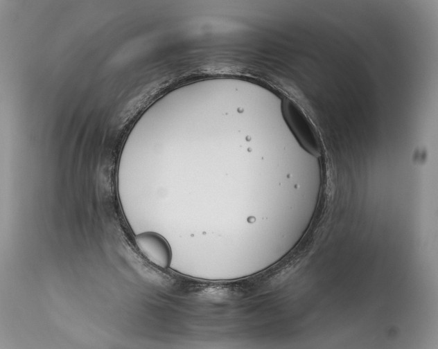 X0000110930441200907091524