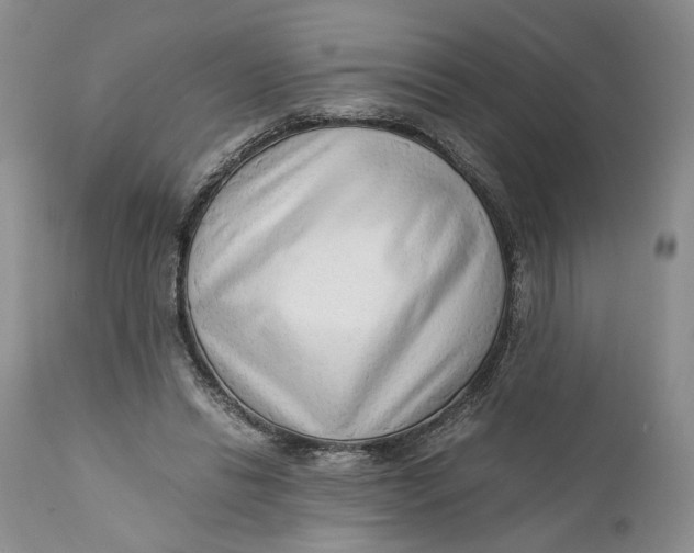 X0000110930446200907091525