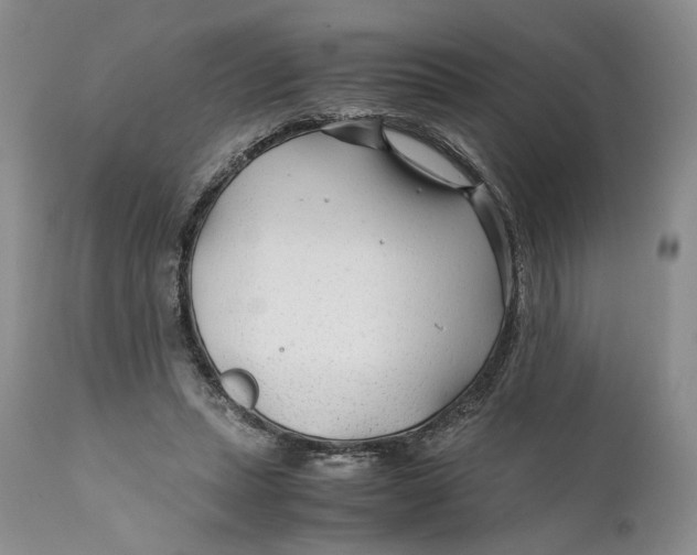 X0000110930447200907091525