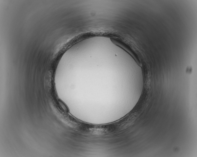 X0000110930448200907091525