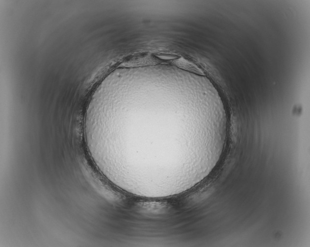 X0000110930449200907091525