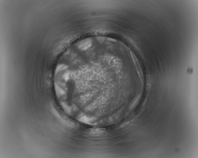 X0000110930451200907091525