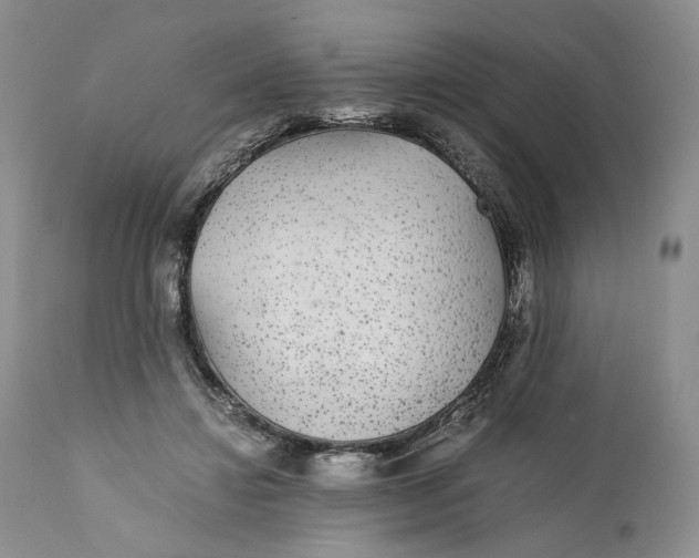X0000110930452200907091525
