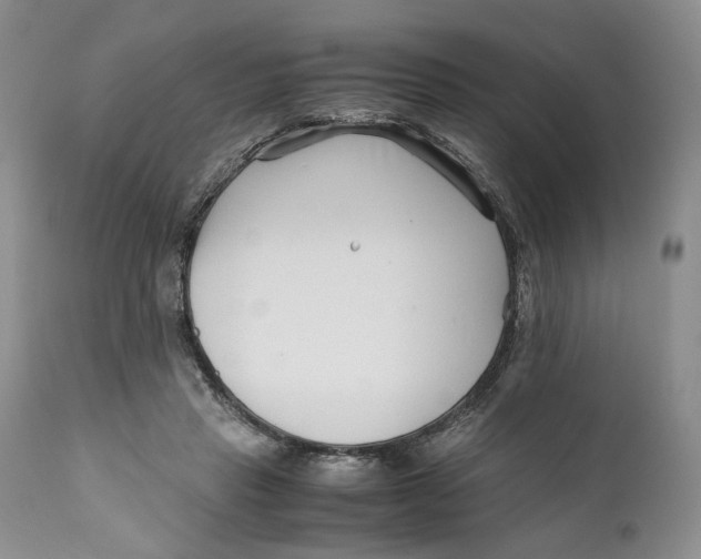 X0000110930453200907091525