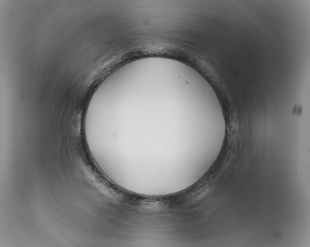 X0000110930454200907091525