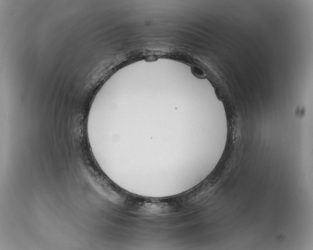 X0000110930455200907091525