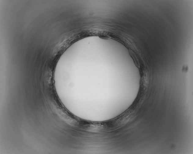 X0000110930458200907091525