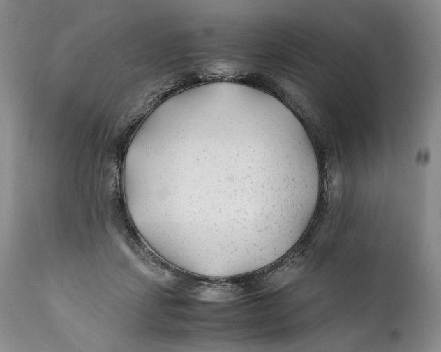 X0000110930459200907091525