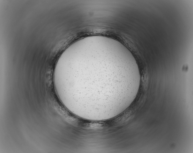X0000110930462200907091525