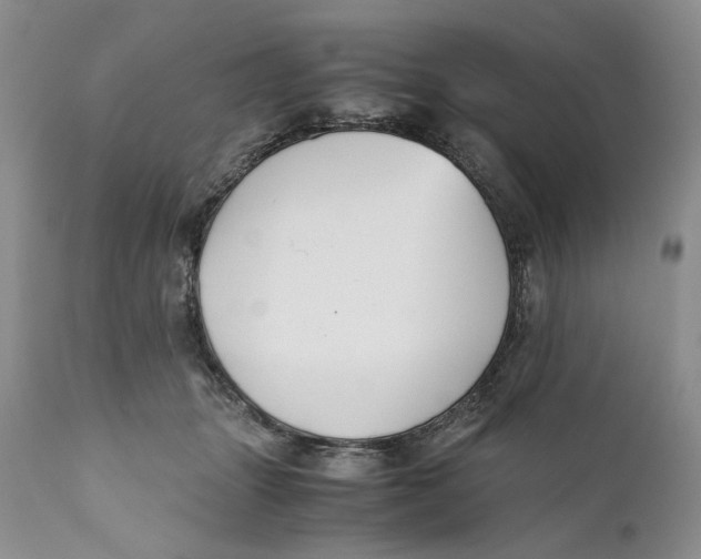 X0000110930463200907091525