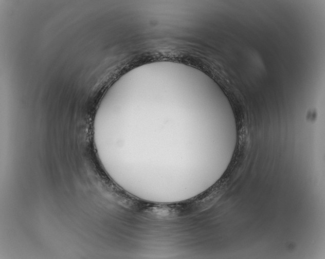 X0000110930464200907091525
