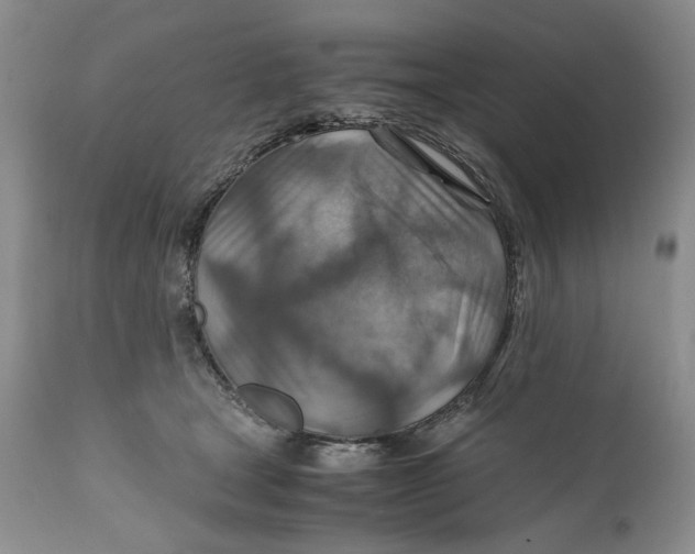 X0000110930465200907091525