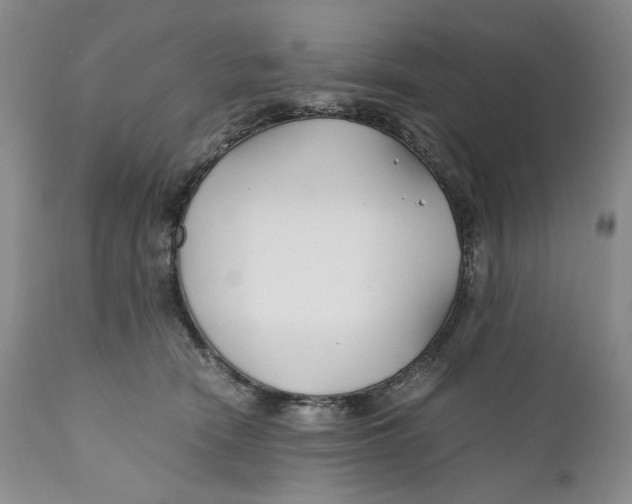 X0000110930466200907091525