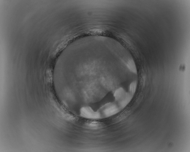 X0000110930467200907091525