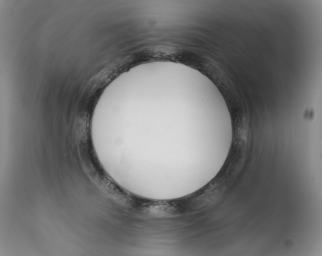 X0000110930468200907091525